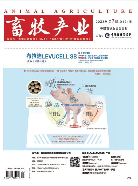 1277�Ǽʵ���(�й���)�ٷ���Ϸ��ַ