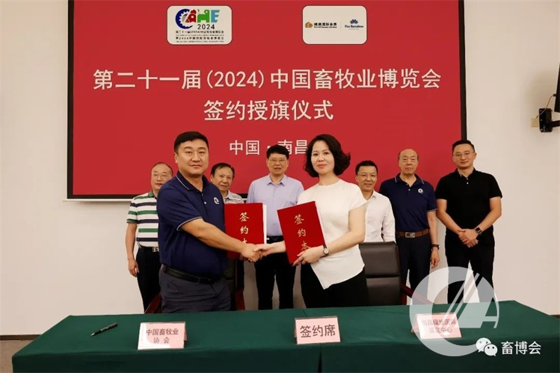 1277�Ǽʵ���(�й���)�ٷ���Ϸ��ַ