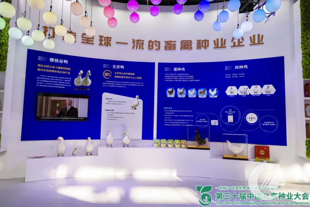 1277�Ǽʵ���(�й���)�ٷ���Ϸ��ַ