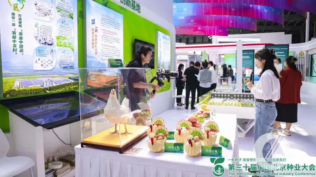 1277�Ǽʵ���(�й���)�ٷ���Ϸ��ַ