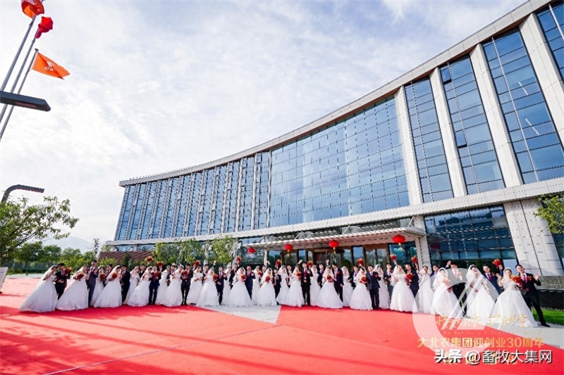 1277�Ǽʵ���(�й���)�ٷ���Ϸ��ַ