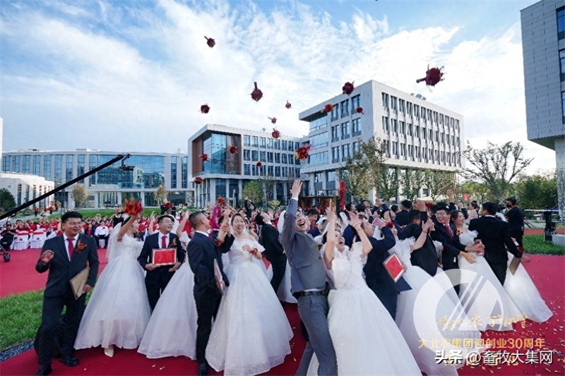 1277�Ǽʵ���(�й���)�ٷ���Ϸ��ַ