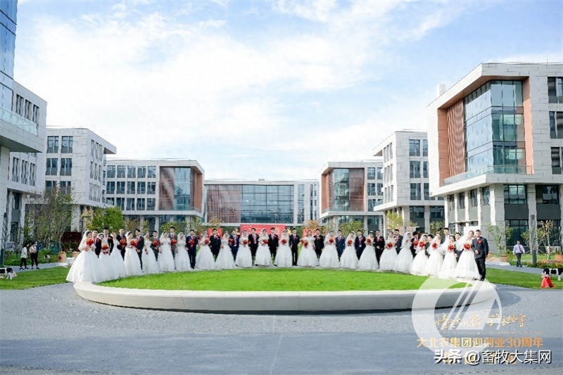 1277�Ǽʵ���(�й���)�ٷ���Ϸ��ַ