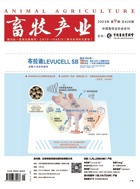 1277�Ǽʵ���(�й���)�ٷ���Ϸ��ַ