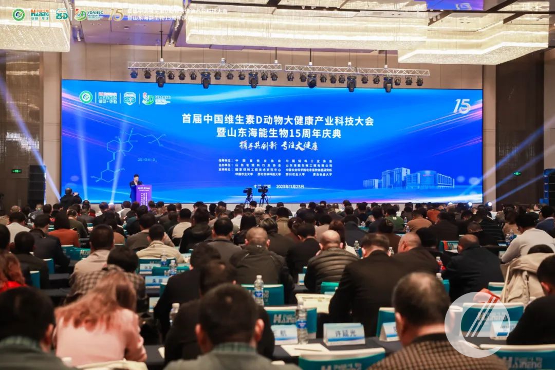 1277�Ǽʵ���(�й���)�ٷ���Ϸ��ַ