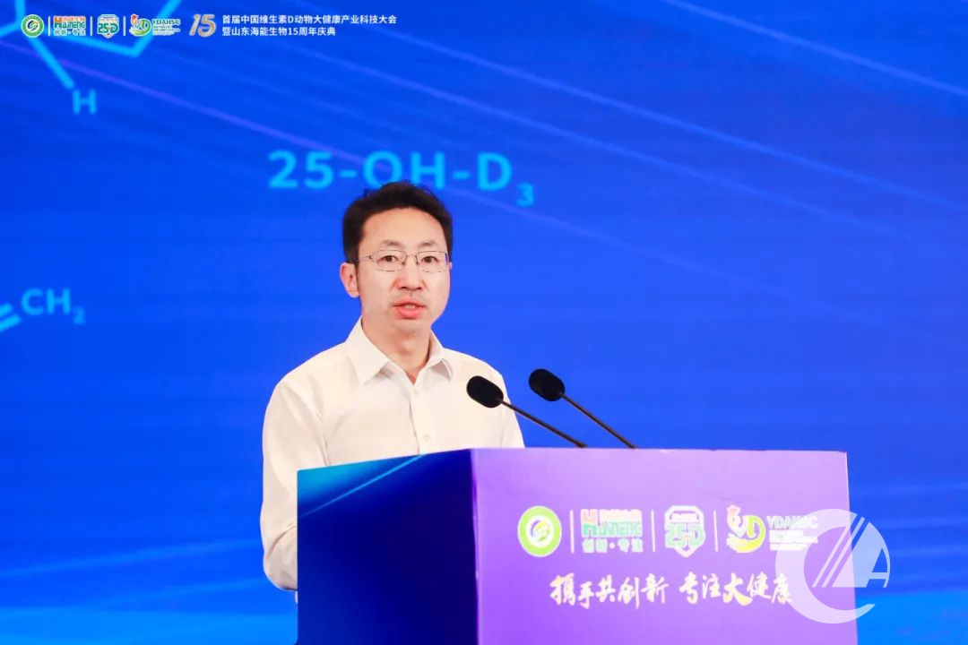 1277�Ǽʵ���(�й���)�ٷ���Ϸ��ַ