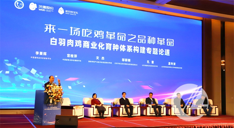 1277�Ǽʵ���(�й���)�ٷ���Ϸ��ַ