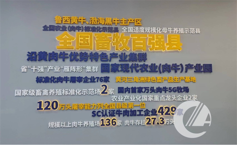 1277�Ǽʵ���(�й���)�ٷ���Ϸ��ַ