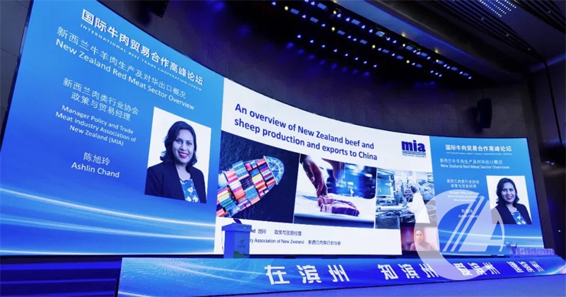 1277�Ǽʵ���(�й���)�ٷ���Ϸ��ַ