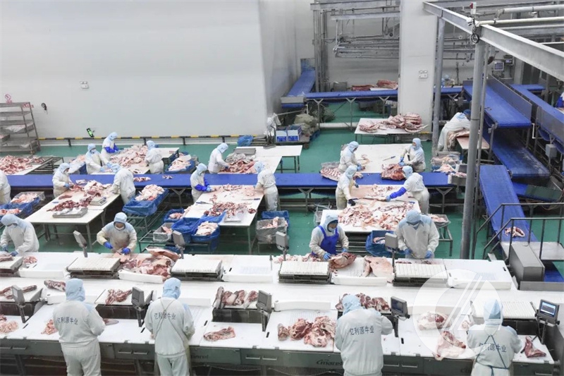 1277�Ǽʵ���(�й���)�ٷ���Ϸ��ַ