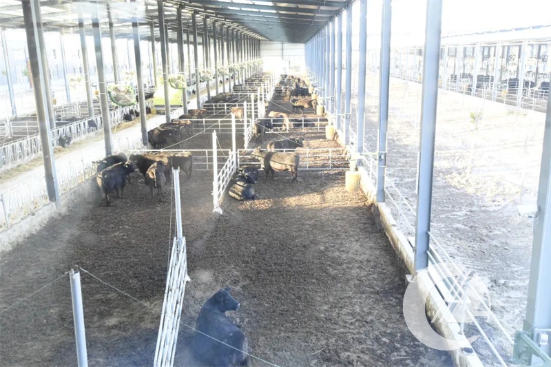 1277�Ǽʵ���(�й���)�ٷ���Ϸ��ַ