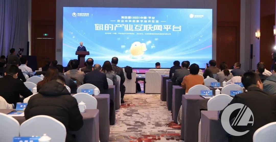 1277�Ǽʵ���(�й���)�ٷ���Ϸ��ַ