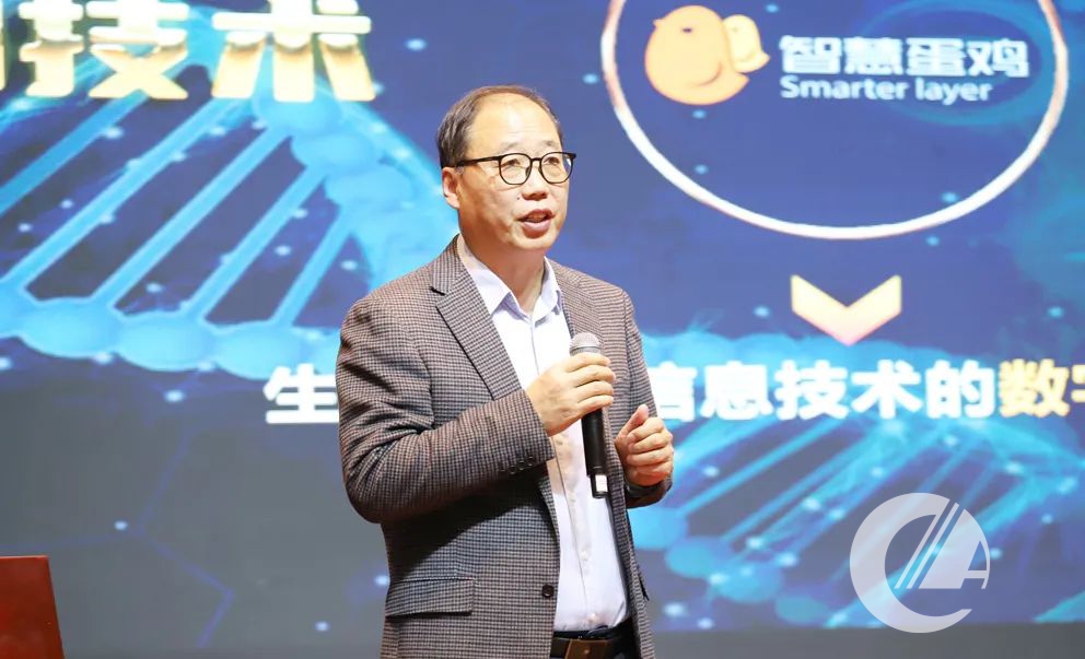 1277�Ǽʵ���(�й���)�ٷ���Ϸ��ַ