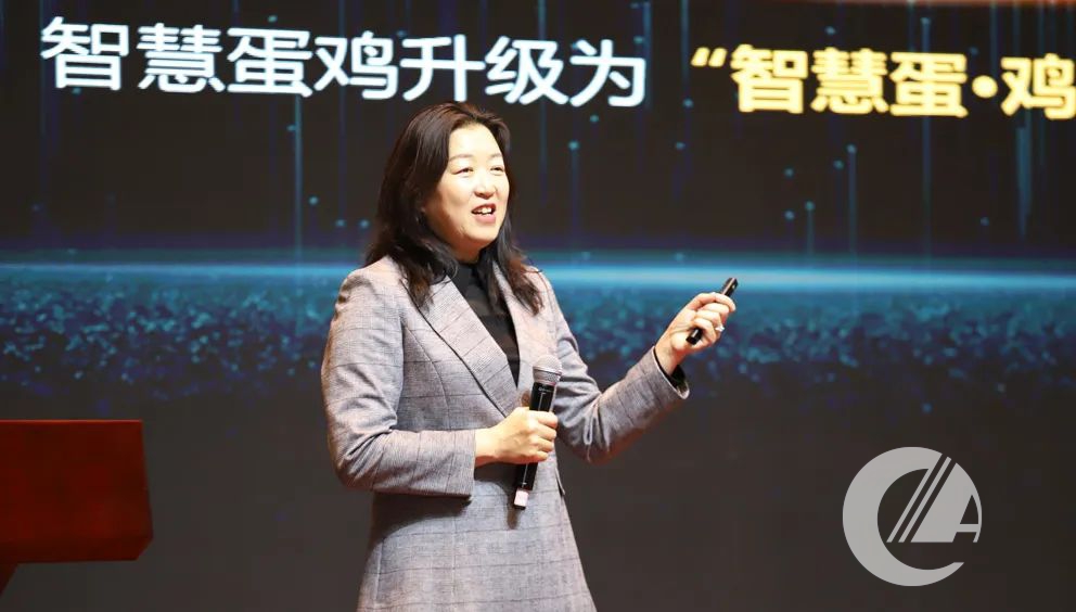 1277�Ǽʵ���(�й���)�ٷ���Ϸ��ַ