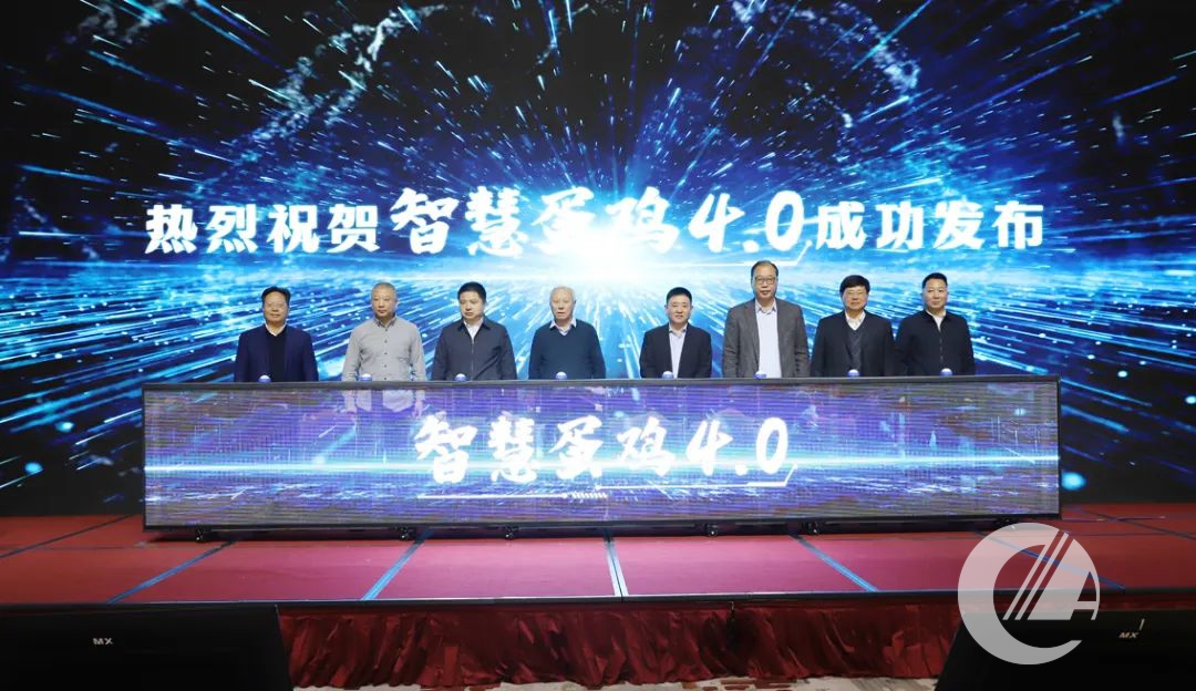 1277�Ǽʵ���(�й���)�ٷ���Ϸ��ַ