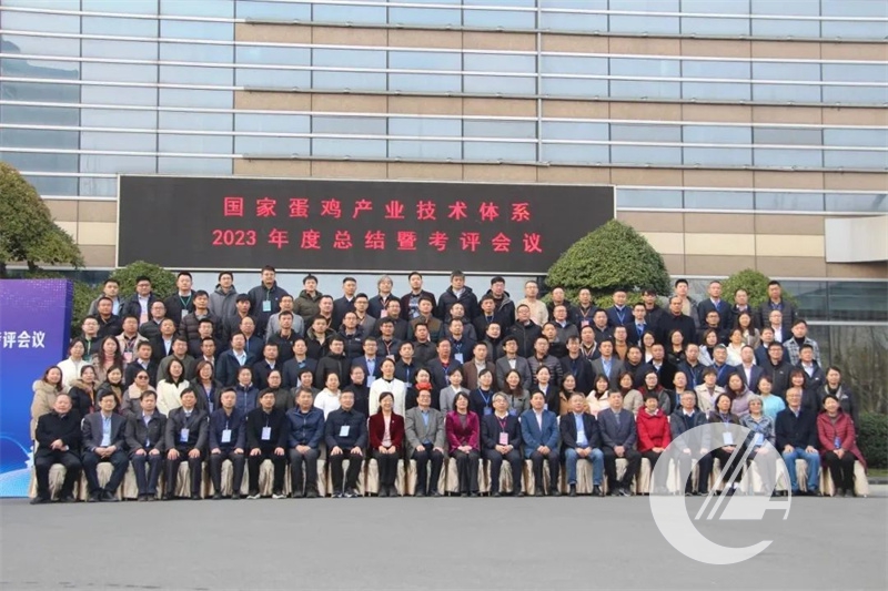 1277�Ǽʵ���(�й���)�ٷ���Ϸ��ַ