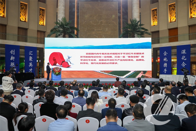 1277�Ǽʵ���(�й���)�ٷ���Ϸ��ַ