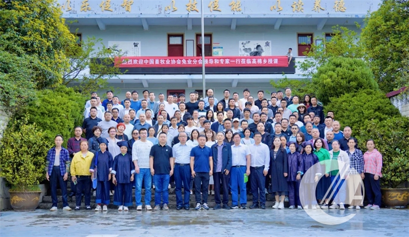 1277�Ǽʵ���(�й���)�ٷ���Ϸ��ַ