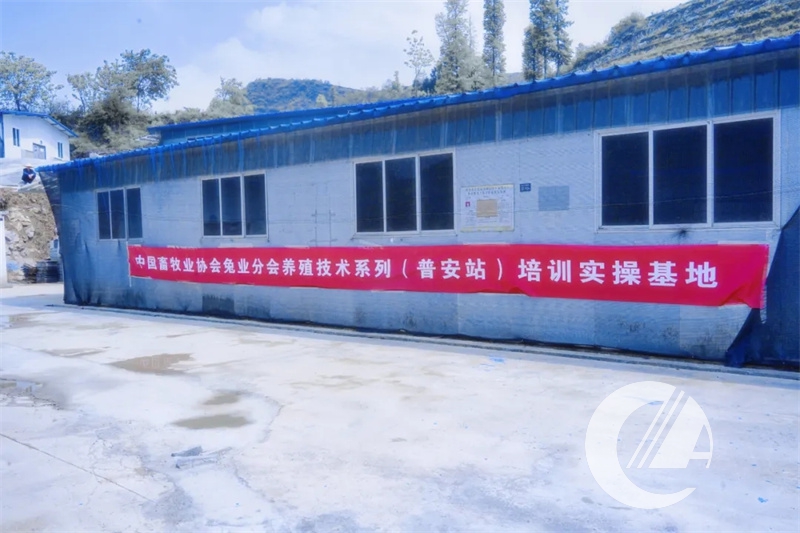 1277�Ǽʵ���(�й���)�ٷ���Ϸ��ַ