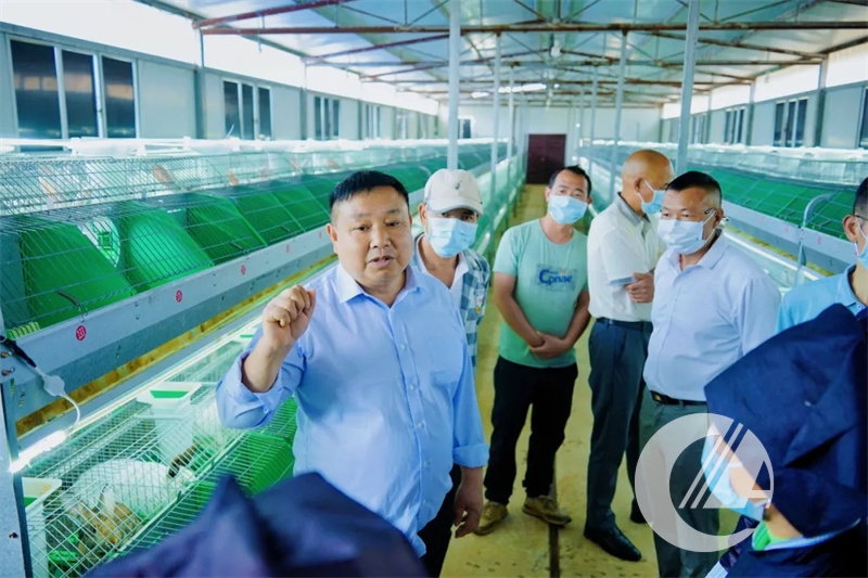 1277�Ǽʵ���(�й���)�ٷ���Ϸ��ַ