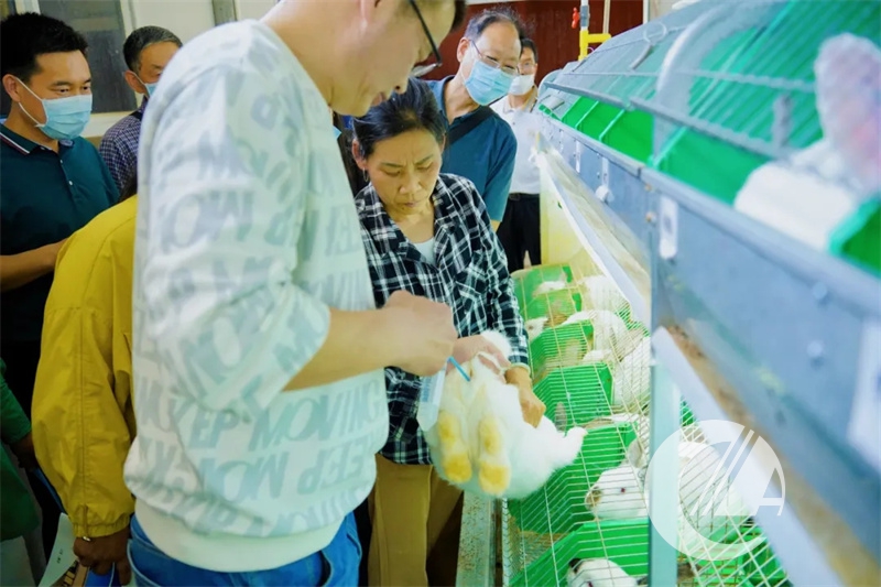 1277�Ǽʵ���(�й���)�ٷ���Ϸ��ַ