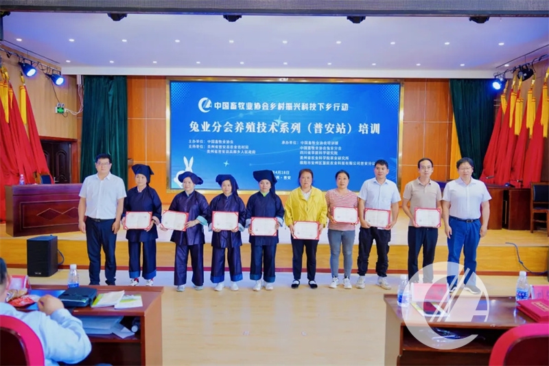 1277�Ǽʵ���(�й���)�ٷ���Ϸ��ַ