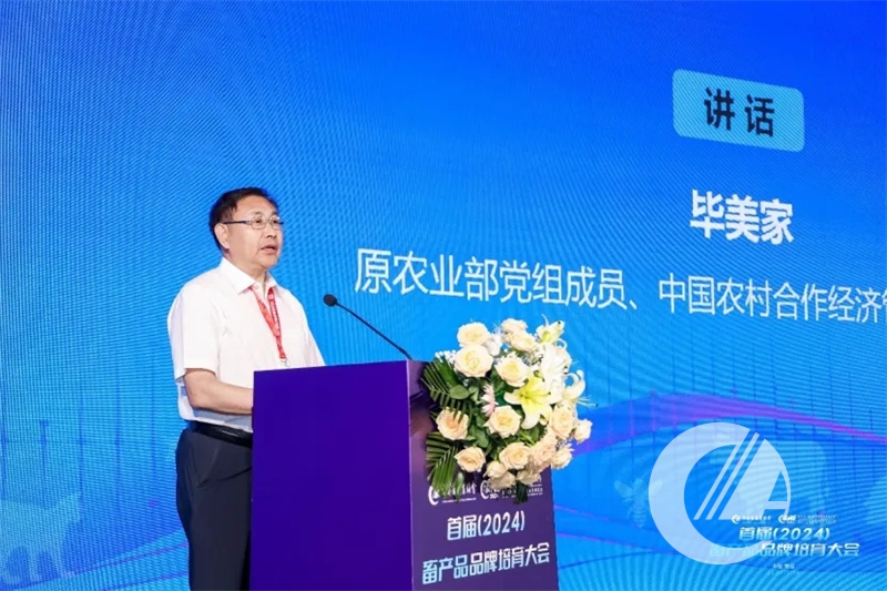 1277�Ǽʵ���(�й���)�ٷ���Ϸ��ַ