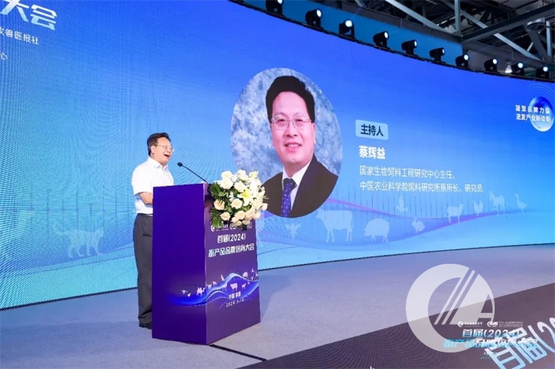 1277�Ǽʵ���(�й���)�ٷ���Ϸ��ַ