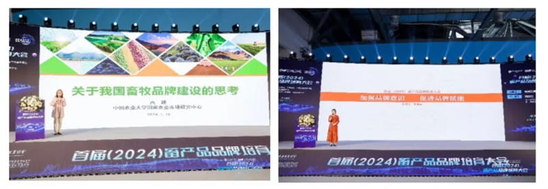 1277�Ǽʵ���(�й���)�ٷ���Ϸ��ַ