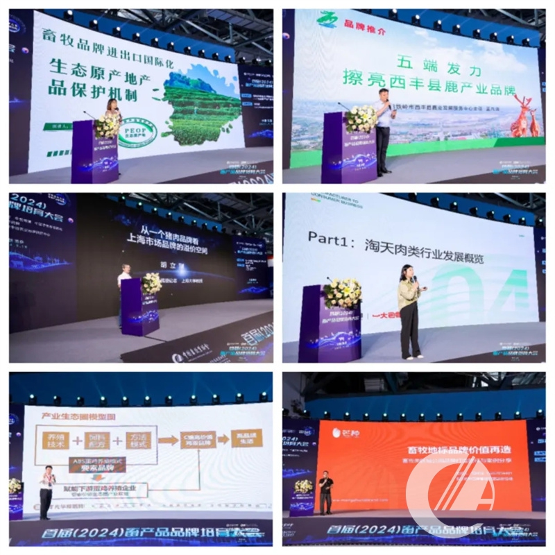 1277�Ǽʵ���(�й���)�ٷ���Ϸ��ַ