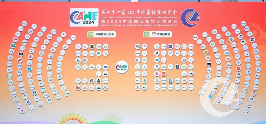 1277�Ǽʵ���(�й���)�ٷ���Ϸ��ַ