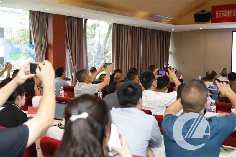 20240624033457901 1277星际电子(中国游)官方游戏网址