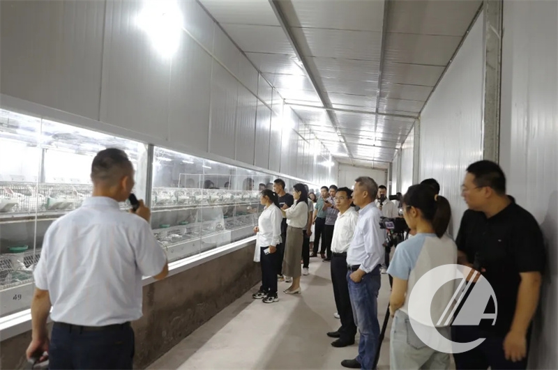 20240624033622921 1277星际电子(中国游)官方游戏网址