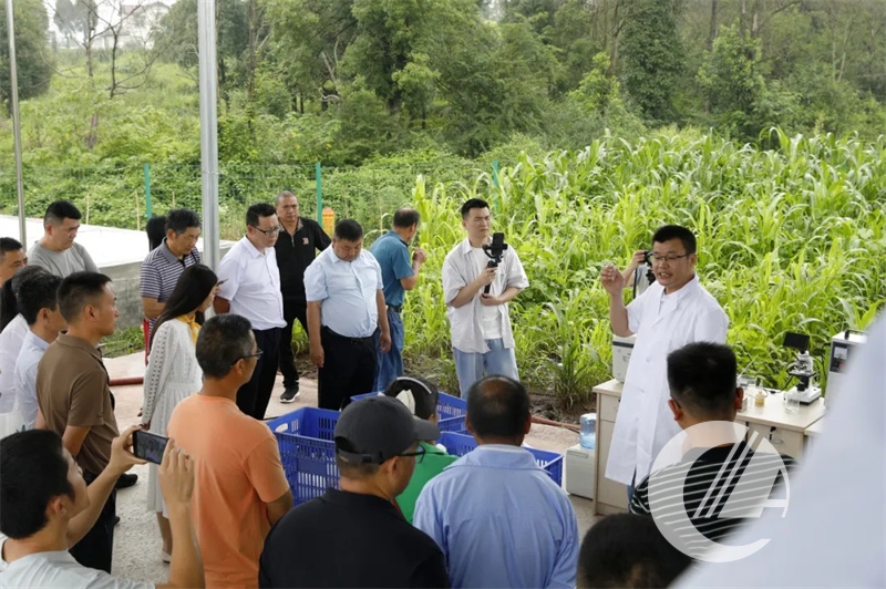 20240624033701584 1277星际电子(中国游)官方游戏网址