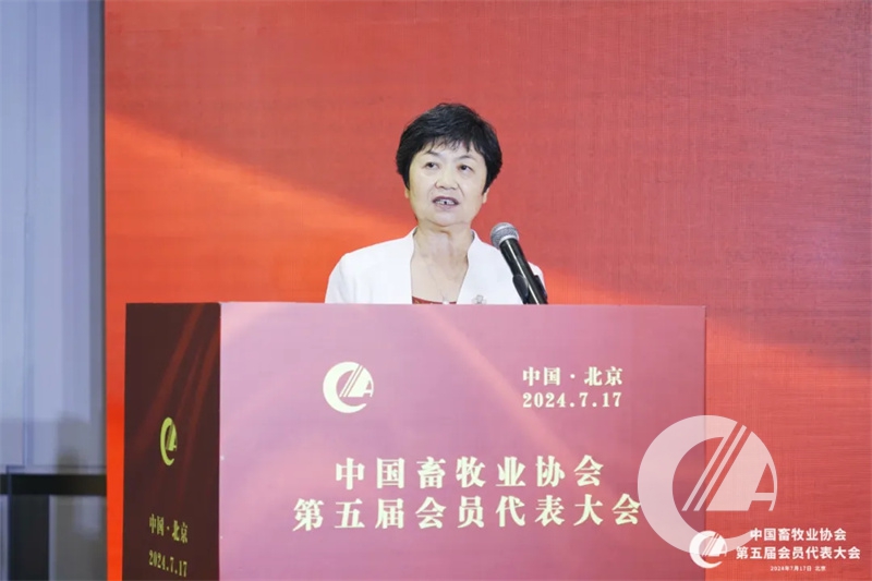 1277�Ǽʵ���(�й���)�ٷ���Ϸ��ַ