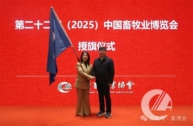 1277�Ǽʵ���(�й���)�ٷ���Ϸ��ַ