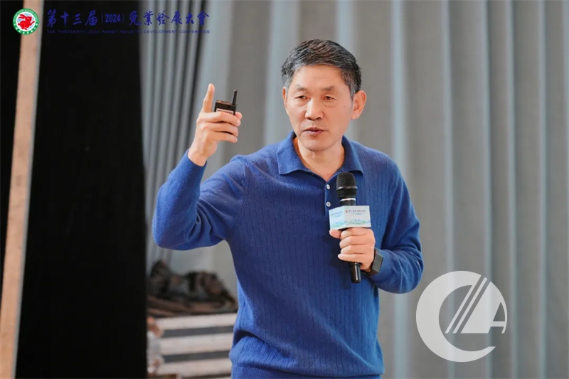 1277�Ǽʵ���(�й���)�ٷ���Ϸ��ַ