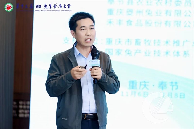 1277�Ǽʵ���(�й���)�ٷ���Ϸ��ַ