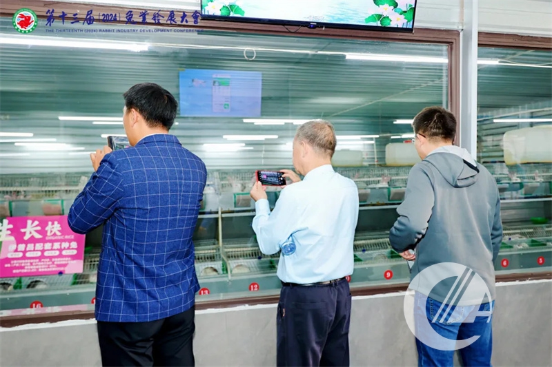 1277�Ǽʵ���(�й���)�ٷ���Ϸ��ַ