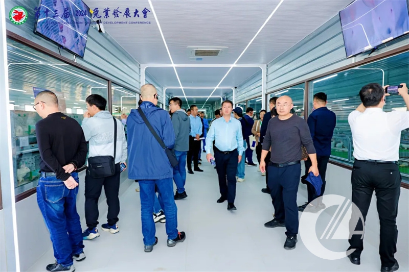 1277�Ǽʵ���(�й���)�ٷ���Ϸ��ַ