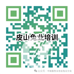 1277�Ǽʵ���(�й���)�ٷ���Ϸ��ַ