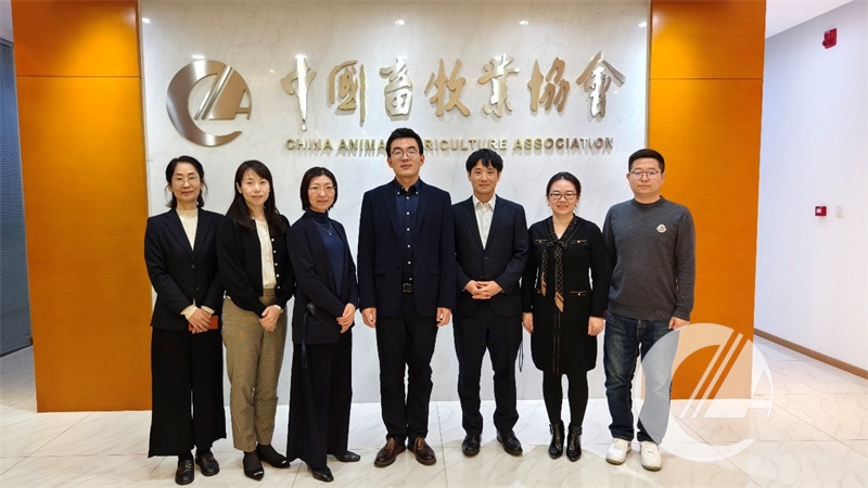 1277�Ǽʵ���(�й���)�ٷ���Ϸ��ַ