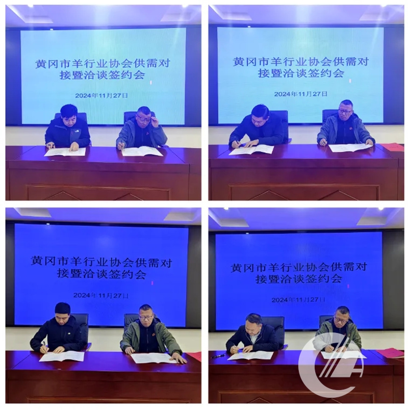 1277�Ǽʵ���(�й���)�ٷ���Ϸ��ַ