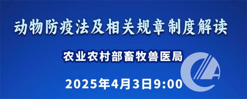 1277�Ǽʵ���(�й���)�ٷ���Ϸ��ַ