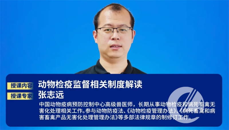 1277�Ǽʵ���(�й���)�ٷ���Ϸ��ַ