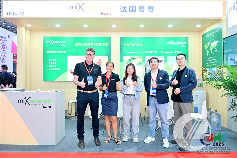 1277�Ǽʵ���(�й���)�ٷ���Ϸ��ַ