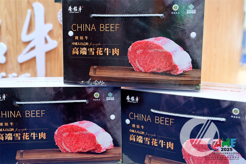 1277�Ǽʵ���(�й���)�ٷ���Ϸ��ַ