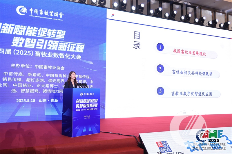 1277�Ǽʵ���(�й���)�ٷ���Ϸ��ַ