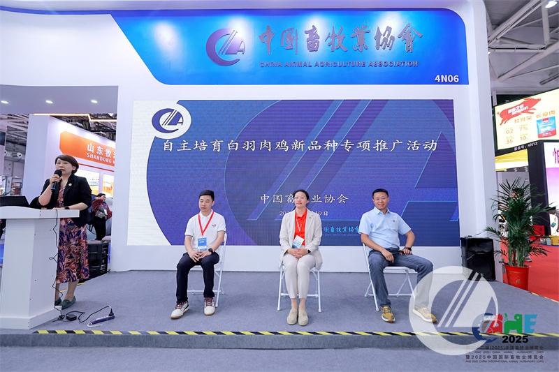 1277�Ǽʵ���(�й���)�ٷ���Ϸ��ַ