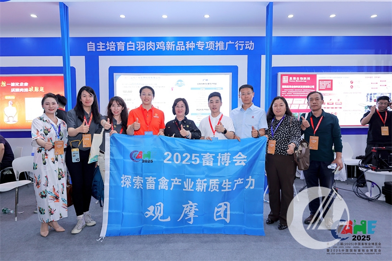 1277�Ǽʵ���(�й���)�ٷ���Ϸ��ַ